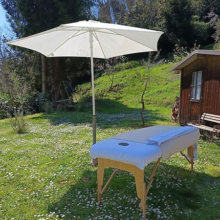 Villa La Casa Del Nonno - Tiny House à Reggello Extérieur photo